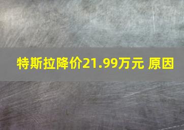 特斯拉降价21.99万元 原因